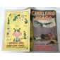 Cavaleiro Negro - Nº 206 Cavaleiro Negro - Nº 206